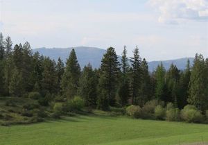 photo 1 of 14919 E Laurel Rd, Elk, WA 99009
