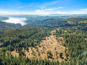 photo 1 of 55771 SW Scoggins Valley Rd, Gaston, OR 97119