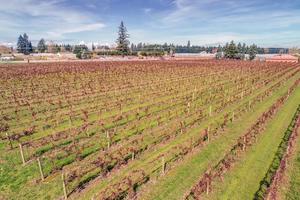 photo 1 of 11799 Carl Rd NE, Woodburn, OR 97071