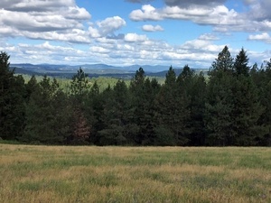photo 1 of 20615 N Day Mt Spokane Rd, Mead, WA 99021