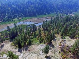 photo 1 of xxx Willms Road, Elk, WA 99009