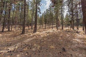 photo 1 of 1957 NW Glassow Drive Bend, Oregon 97703