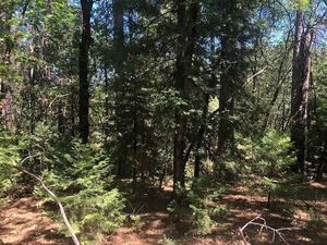 photo 1 of 13262 Fawn Hill Dr, Grass Valley, CA 95945