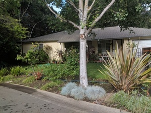 photo 1 of 1539 Laurel Pl, Menlo Park, CA 94025
