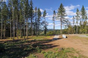 photo 1 of 0 NE 373rd St, La Center, WA 98629