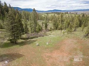 photo 1 of TBD Pole Creek Rd, Council, ID 83612