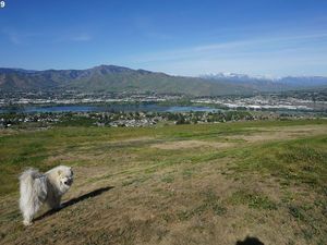 photo 1 of 0 Cougar Ridge Rd, East Wenatchee, WA 98802