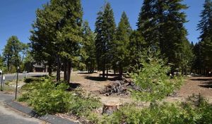 photo 1 of 42264 Garnet Ln, Shaver Lake, CA 93664