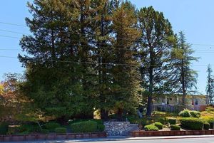photo 1 of 651 Moraga Rd APT 1, Moraga, CA 94556