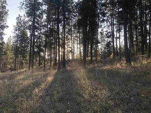 photo 1 of 5864C Jergens Rd, Nine Mile Falls, WA 99026