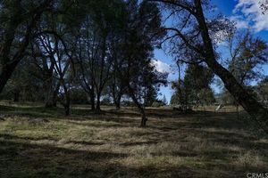 photo 1 of 4001 Pacific Bars Rd, Mariposa, CA 95338
