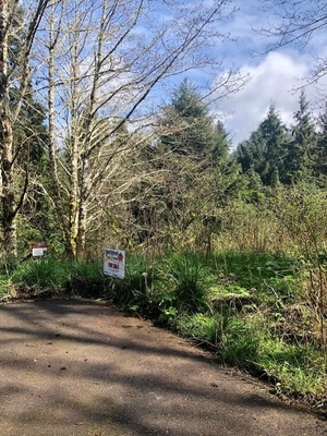 photo 1 of 0 Ridge Lane, Lot #4800, Neskowin, OR 97149