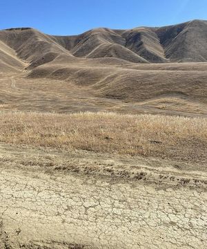 photo 1 of 198, Coalinga CA 93210