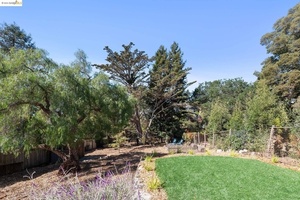 photo 1 of 7547 Leviston Ave, El Cerrito, CA 94530