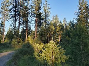 photo 1 of 12 Rebel Ridge Rd, Spirit Lake, ID 83869