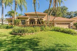 photo 1 of 3459 Woodridge Pkwy, Palm Harbor, FL 34684