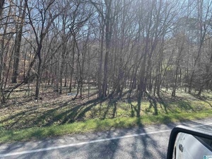photo 1 of 23572 Highway 25 #1, Columbiana, AL 35051