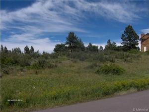 photo 1 of 8683 Pawnee Rd, Parker CO 80134
