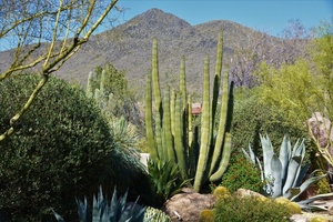 photo 1 of 5738 E Leisure Lane, Cave Creek, AZ 85331