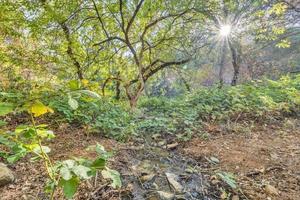 photo 1 of 1000 Collins Drive, Auburn, CA 95603