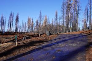 photo 1 of 4715 Creekside Dr, Grizzly Flats, CA 95636