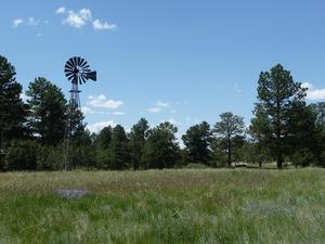 photo 1 of 10589 Pinecone Lane, Parker CO 80134