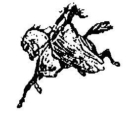 My Logo