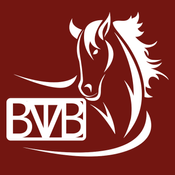 My Logo