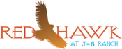 My Logo